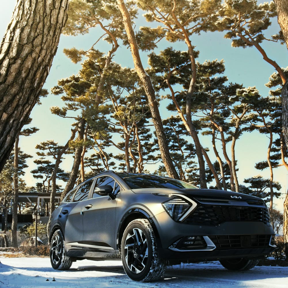 Kia Repair and Service in Washington, DC